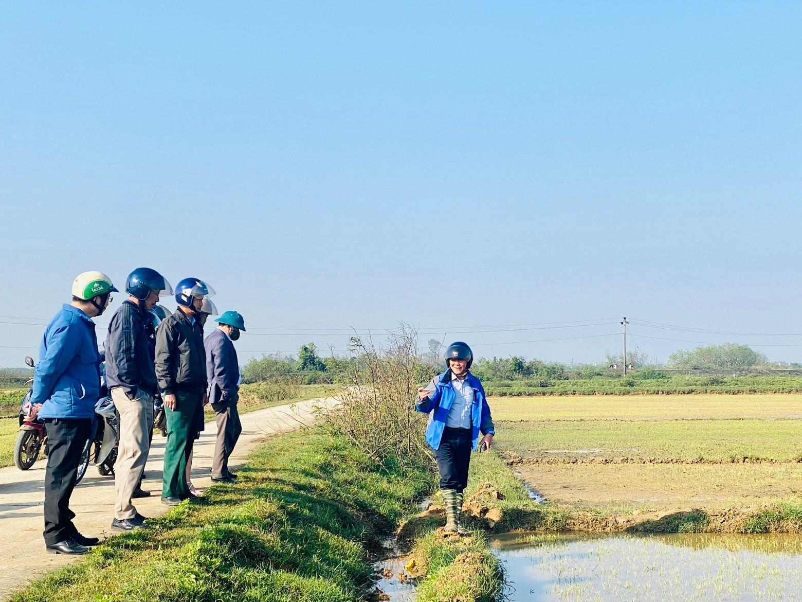Các đồng chí lãnh đạo xã Vĩnh Giang đi kiểm tra lúa vụ Đông Xuân sau tết Nguyên đán.